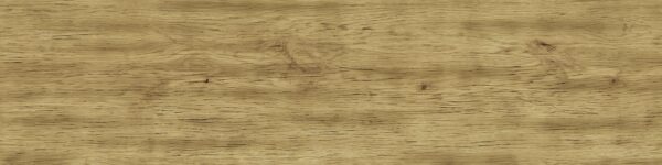 EXENCE Almond